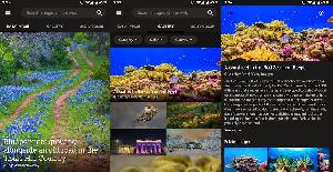 Bing Wallpapers: miles de fondos de pantalla para Android