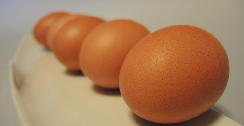 ¿Cuánta proteina tiene un huevo?