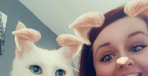 Snapchat introduce nuevos filtros para gatos