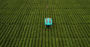 Proyecto Mineral: Los robots agrícolas de Google